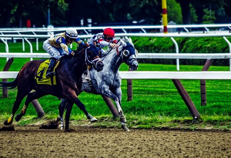 saratoga springs 1785314 960 720 1