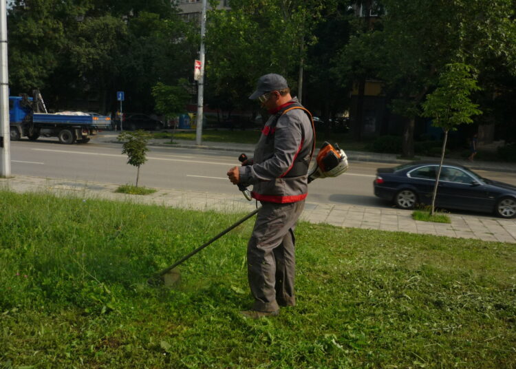 services eb0d614876432c32b1399fc05dc45e24