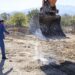 Започна строежът на градския парк в Петрич