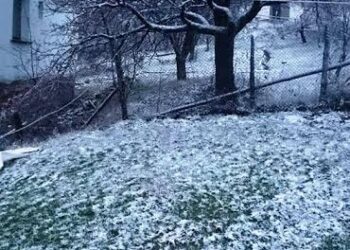 Сняг покри Ардино