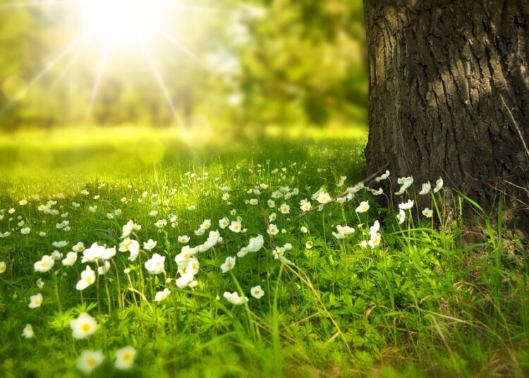 spring 276014 960 720 5
