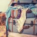 suitcase 4410369 640 1