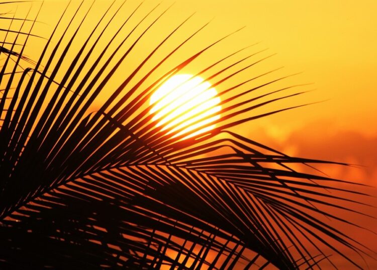 sun of jamaica 910070 960 720 1 5