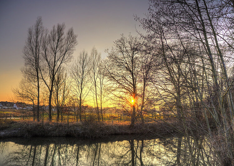 sunnywinter 7