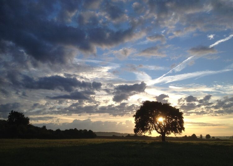 sunrise 430694 960 720 2