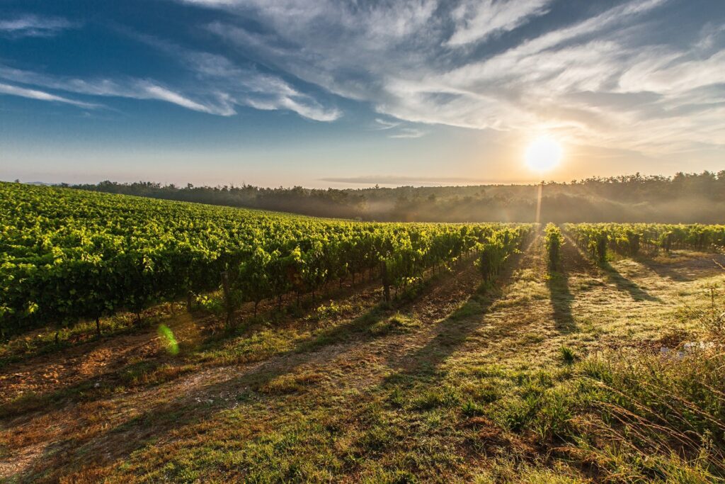 tuscany 428041 1920