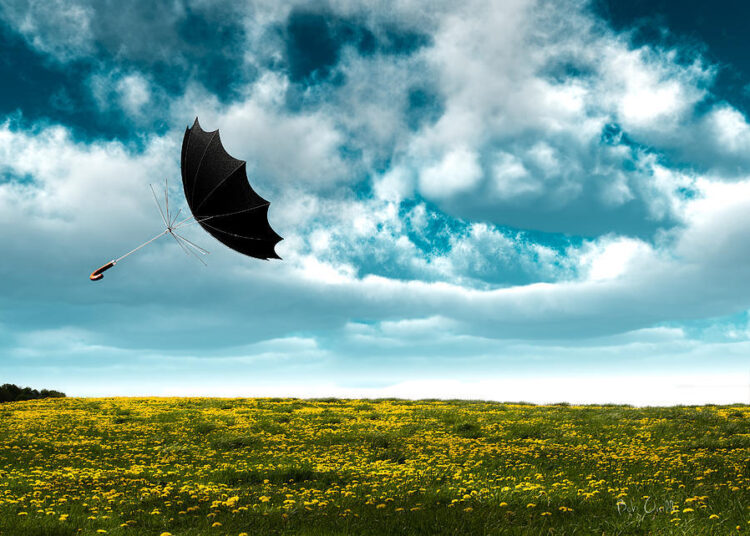 umbrella 6