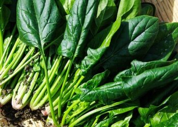 Спряха продажбата на спанак, съмняват се, че е с татул