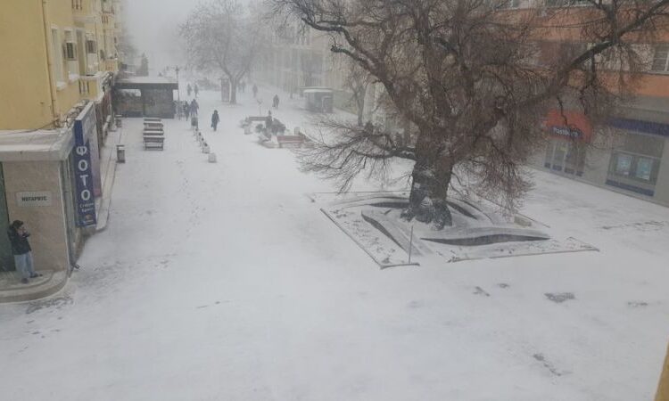viber image 2