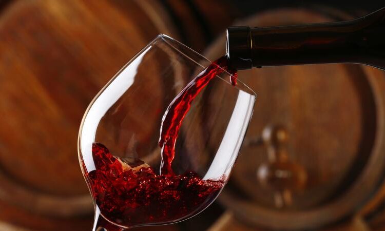 vino lee buchvi 5