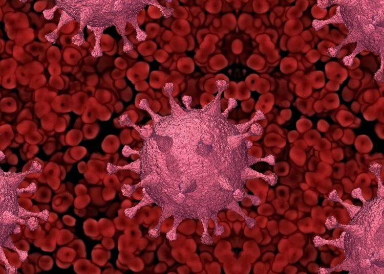 Над 500 нови случая, 6 пъти повече в болница 1 virus 5939842 1920 3