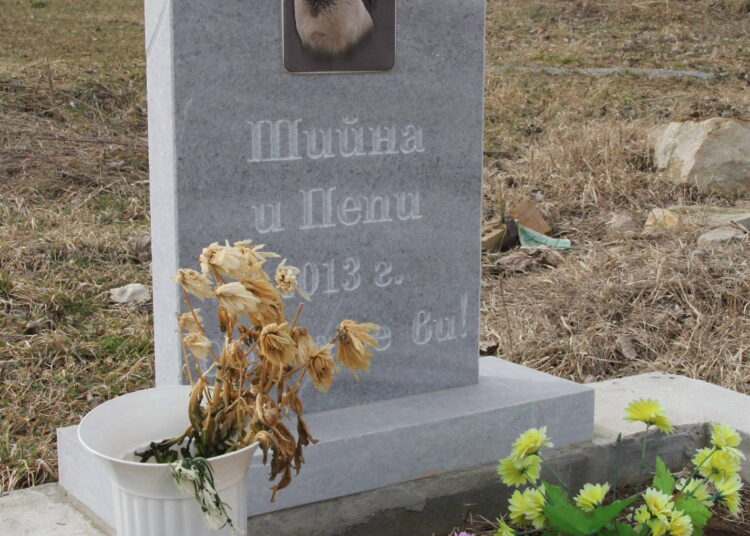 vt snimka grobishte domashni lubimci