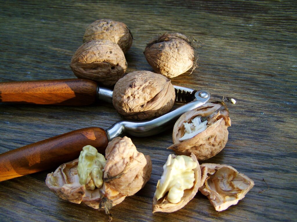 walnut 963665 1920 1