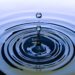 Дариха над 2 тона вода на Брестовица 8 Дариха над 2 тона вода на Брестовица