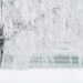 До 5° днес, слънцето се показва