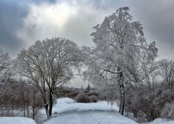 Слаб сняг и до -11°