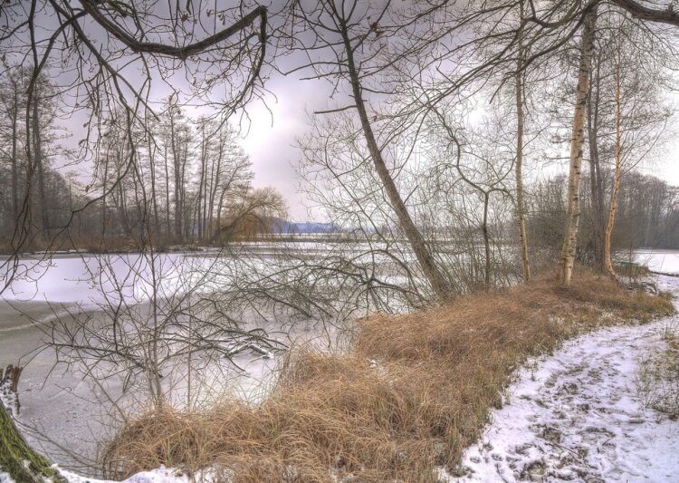 winterclouds 7