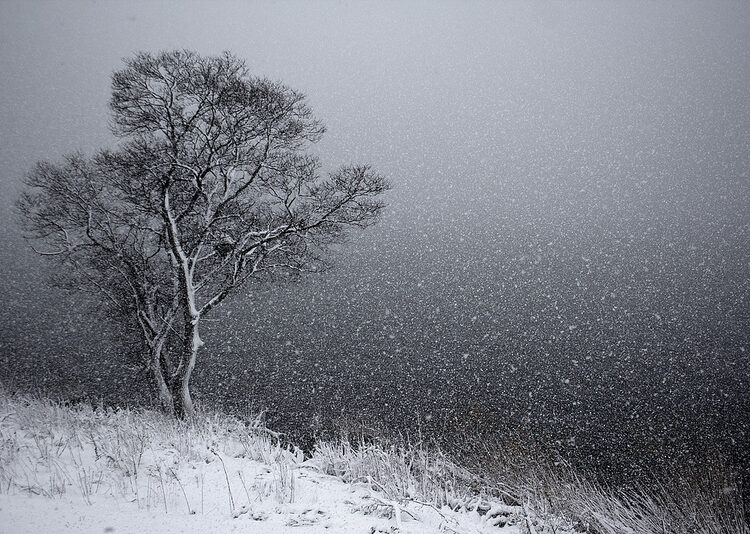 wintersnow