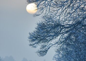 Слънцето се показва, но остава студено