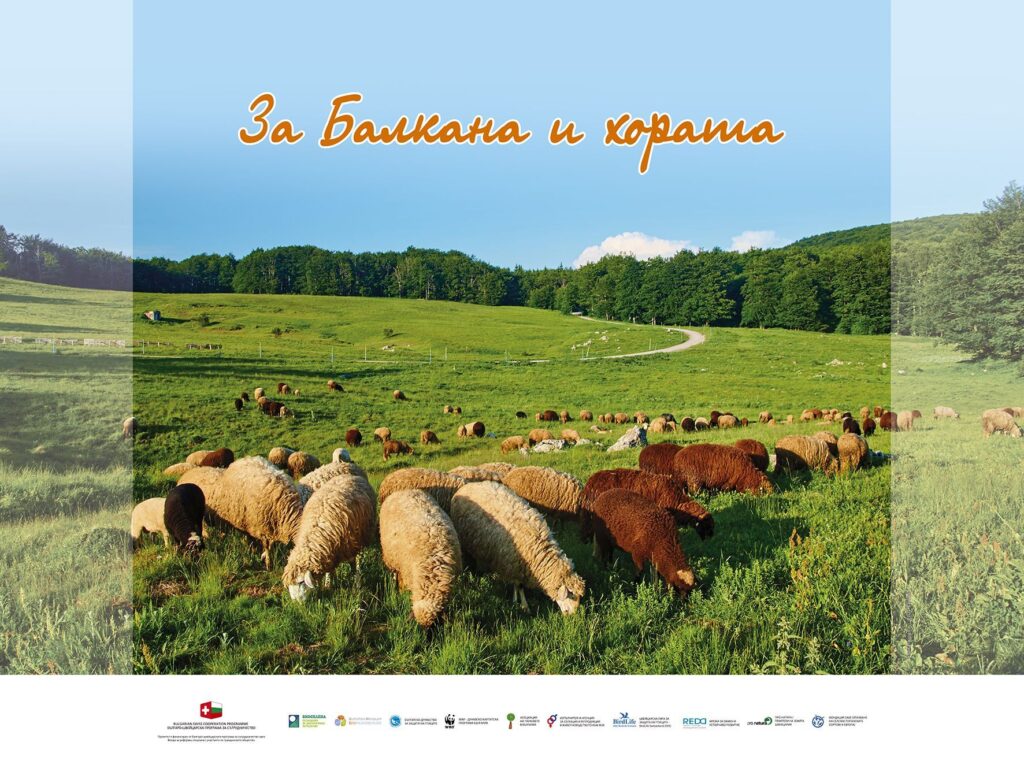 za balkana i horata 2