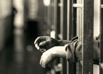 Затворник се връща в килията заради фалшива тапия за парнаджия