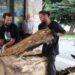Няма бедстващи българи и чужденци в Банско