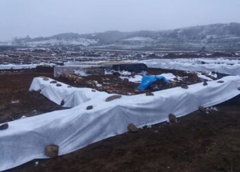 Община Благоевград ще готви проект за цялото антично селище край Покровник