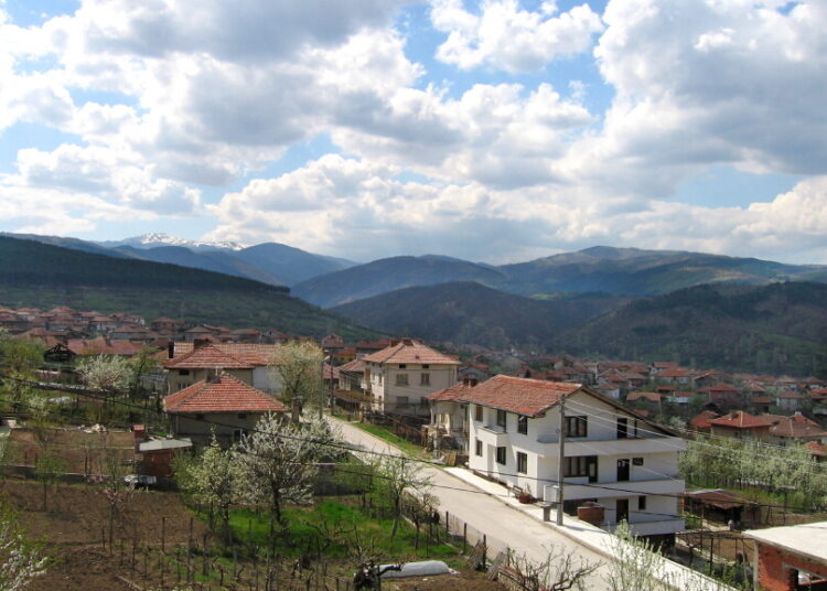 Крупник 001 1