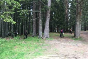 Двама в битка да оглавят дирекция в НП „Пирин”