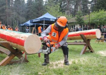 Дърводобивни фирми на протест пред ЮЗДП