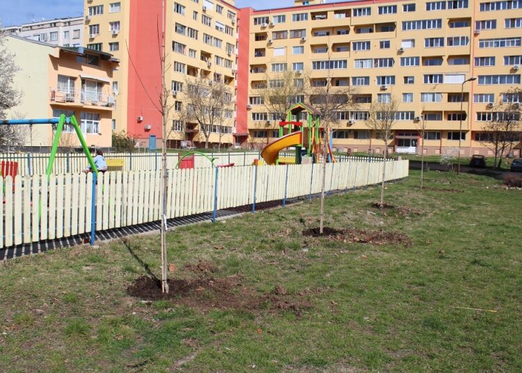 Садят нови дървета по кварталите в Ямбол 1 дървета 1