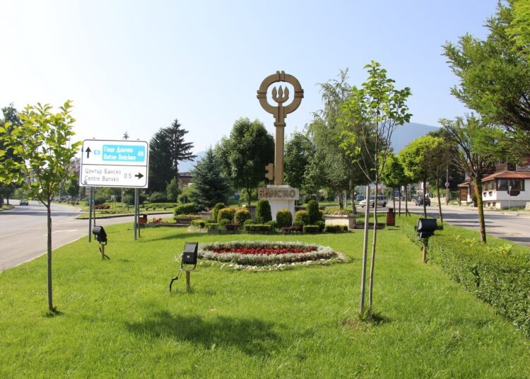 цветя 2018 7