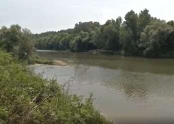 Трима се удавиха в Янтра
