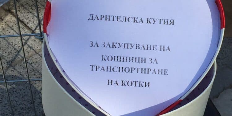 250 бездомни кучета в общински приют търсят семейство