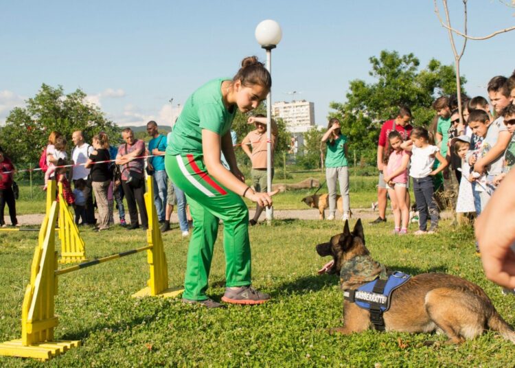 Началото е точно в 17.00 часа в парк “Зеления клин”.