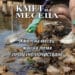 Гласуването вече започна и ще продължи до края на месеца.