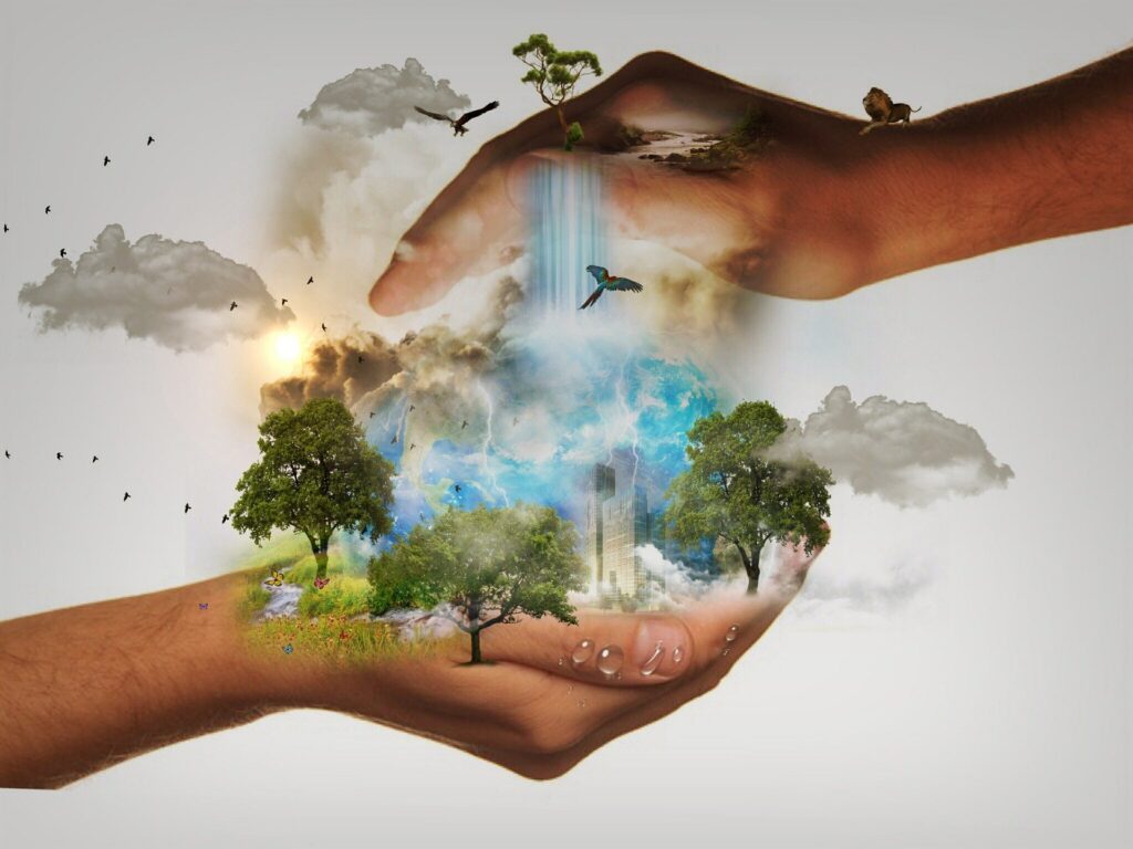 nature conservation 480985 1920