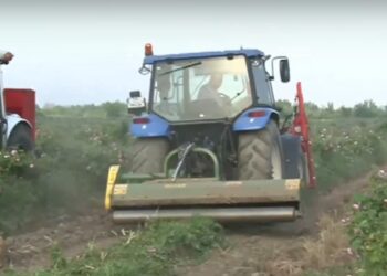Производителите са изправени пред фалит