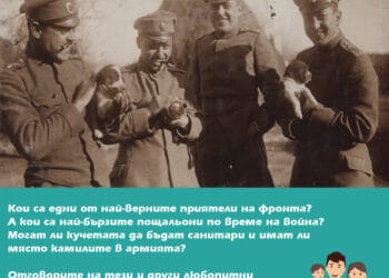 НВИМ разказва на семействата за “Животните на фронта”