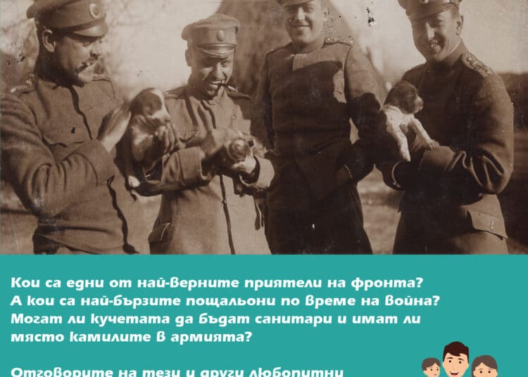 Животните на фронта 15.05