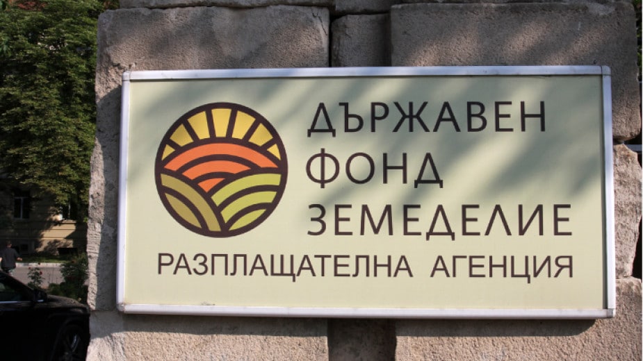 Снимка: БНР