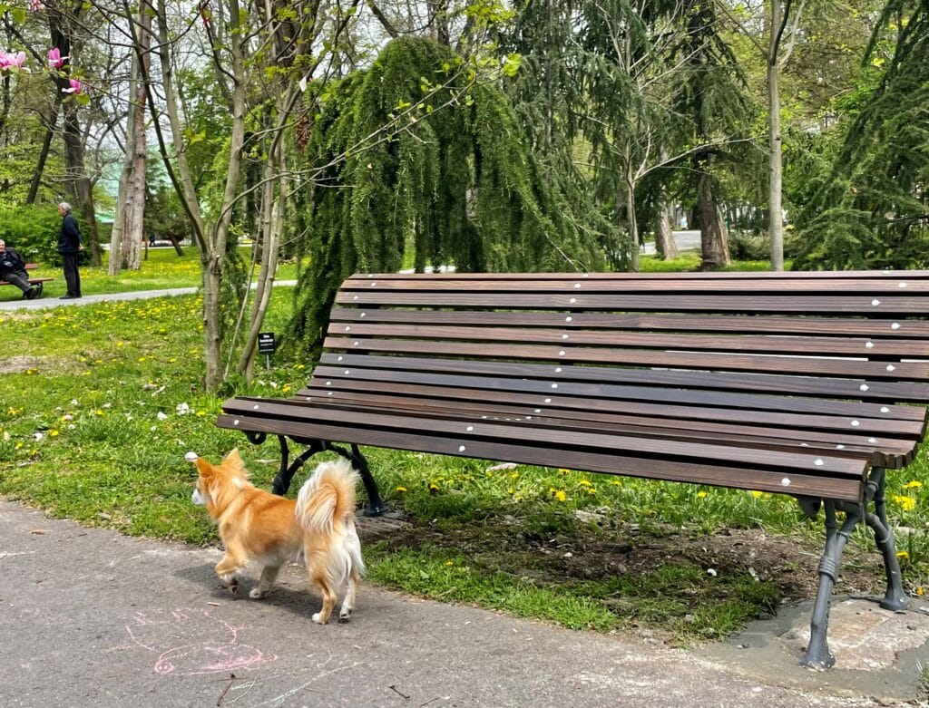 Ямбол ще смени старите пейки в Градския парк с 21 нови