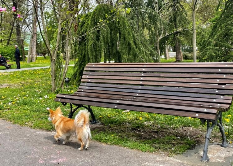 Ямбол ще смени старите пейки в Градския парк с 21 нови