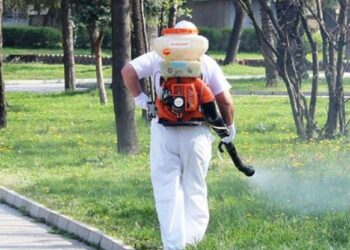 Ето кога пръскат срещу комари и кърлежи в Пловдив