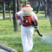 Ето кога пръскат срещу комари и кърлежи в Пловдив