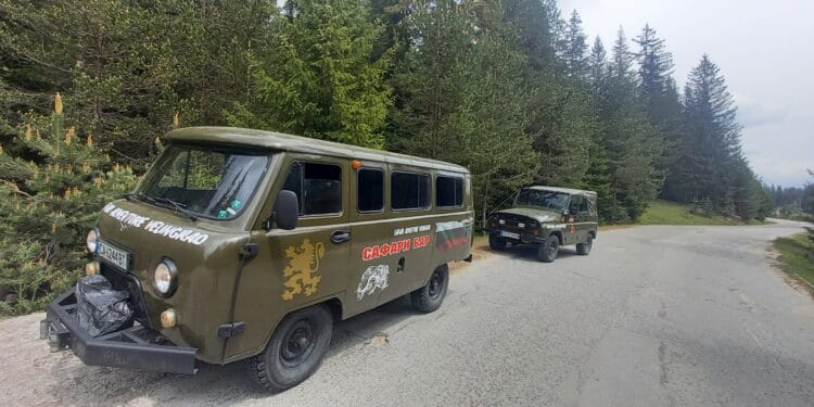 Сафари бар