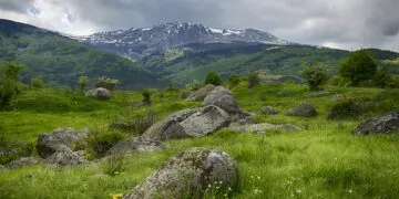 Зелени клинове и паркинги на етажи ще “изчистят” София
