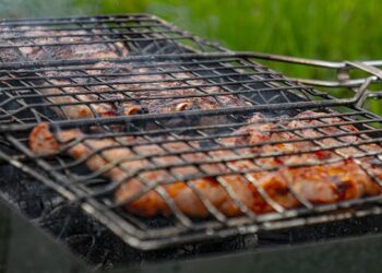 shish kebab 5140486 640