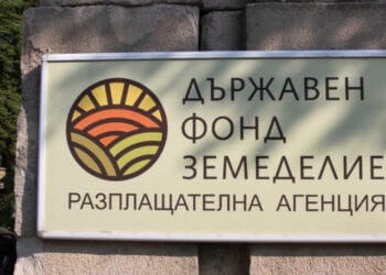 Снимка: БНР