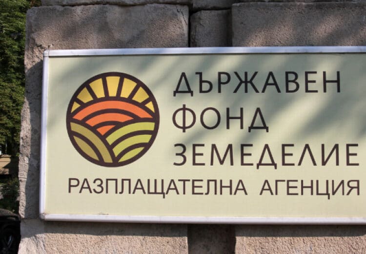 Снимка: БНР